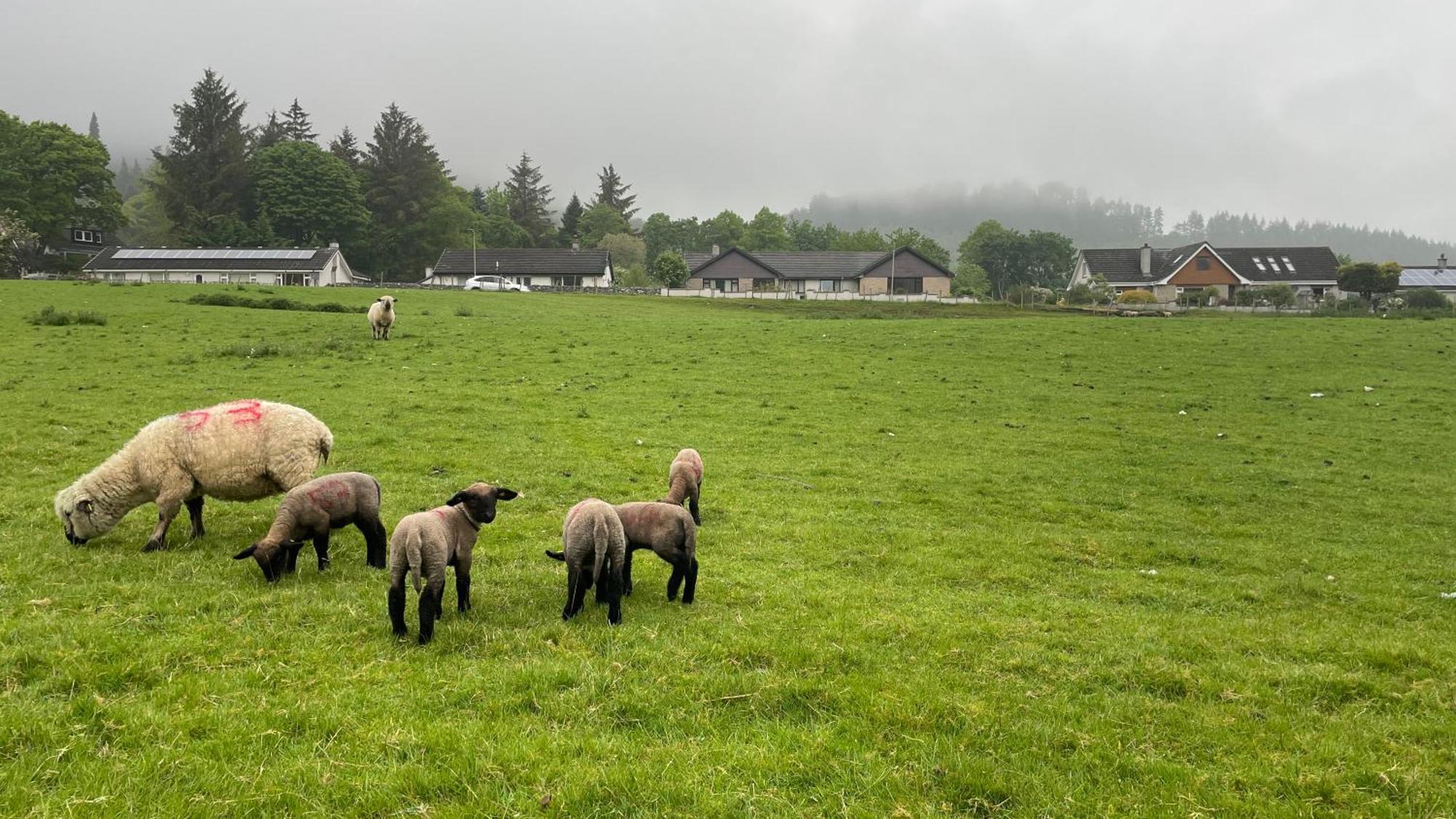 Hideaway Pod Near Loch Ness For A Tranquil Retreat Apartment Lewiston Ngoại thất bức ảnh